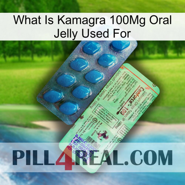 What Is Kamagra 100Mg Oral Jelly Used For new02.jpg